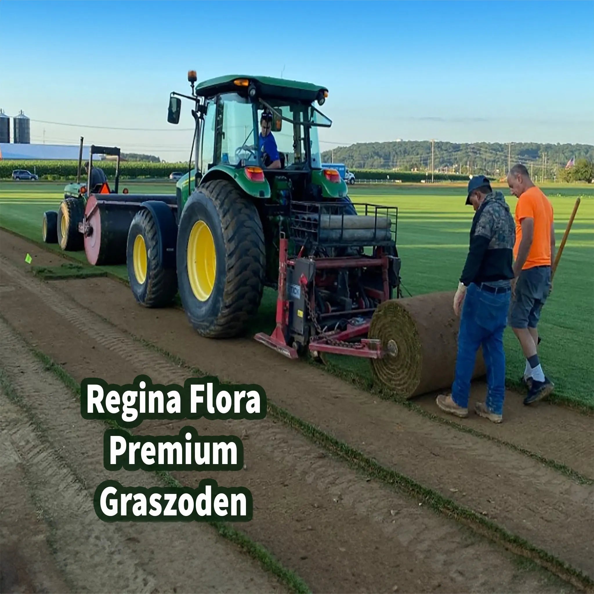 Oogsten van Regina Flora Premium Graszoden met tractor op het veld