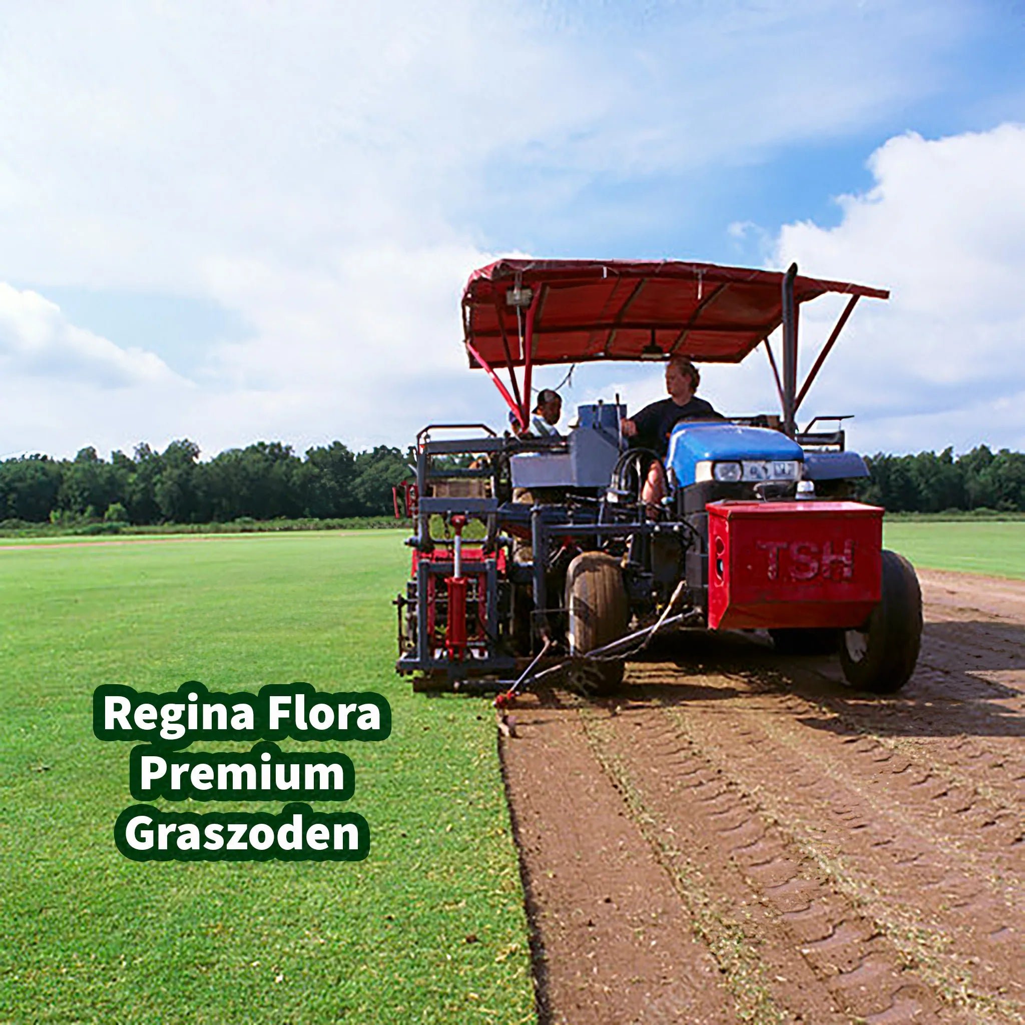 Oogsten van Regina Flora Premium Graszoden met tractor op het veld