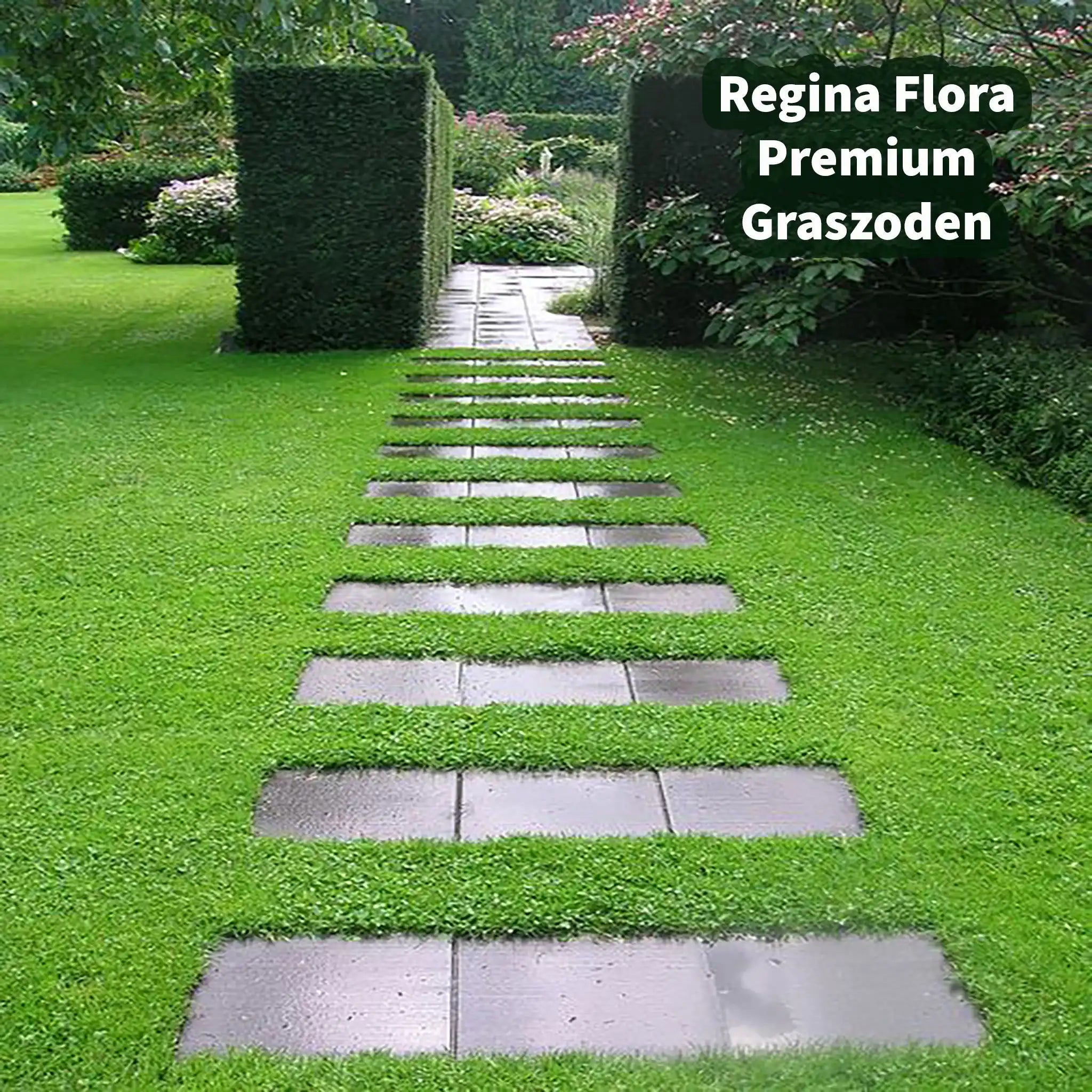 Regina Flora Premium Graszoden langs tuinpad met decoratieve stapstenen