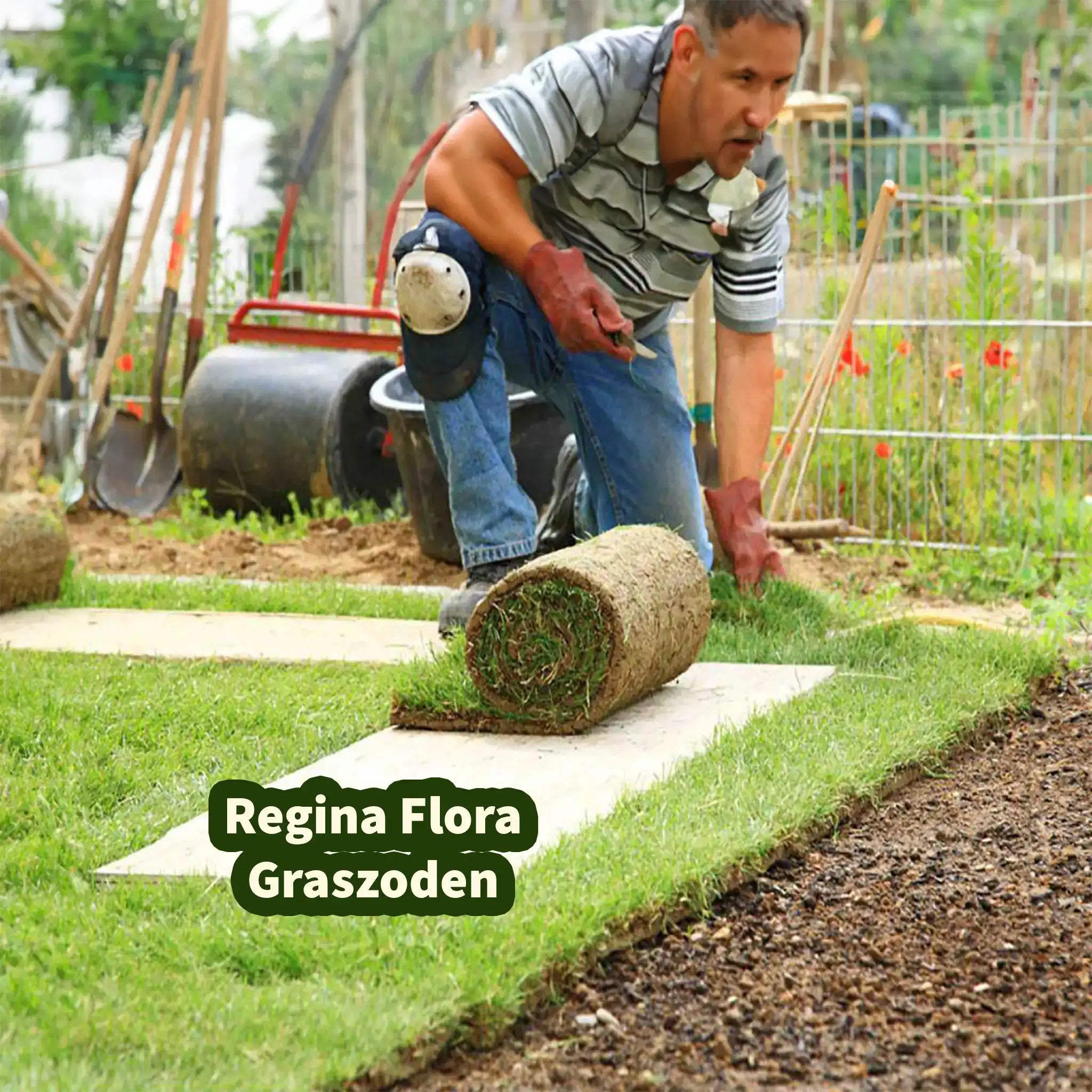 Actiefoto van het leggen van Regina Flora graszoden