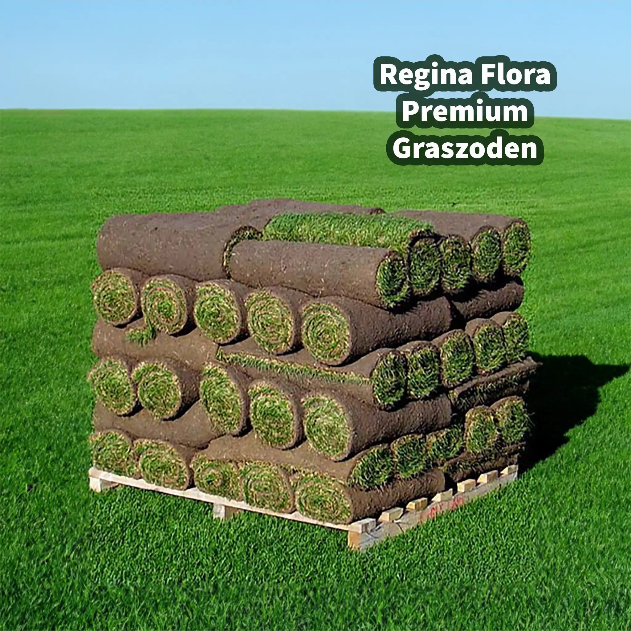 Stapel Regina Flora Premium Graszoden op pallets in een magazijn