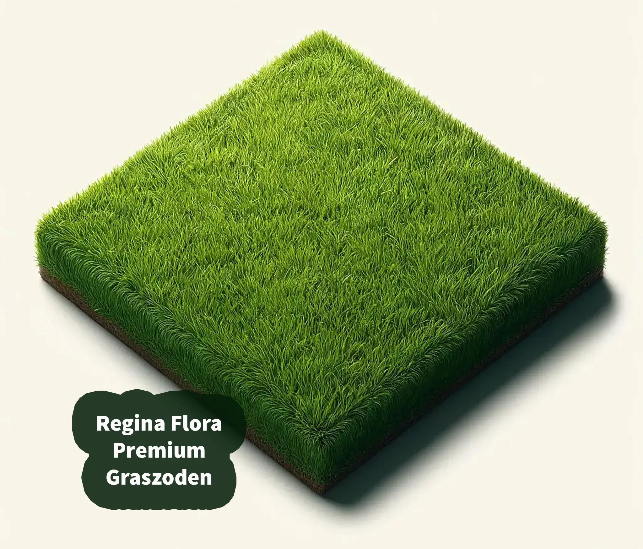 Regina Flora Premium Graszoden met weelderig groen gras en fijne textuur.