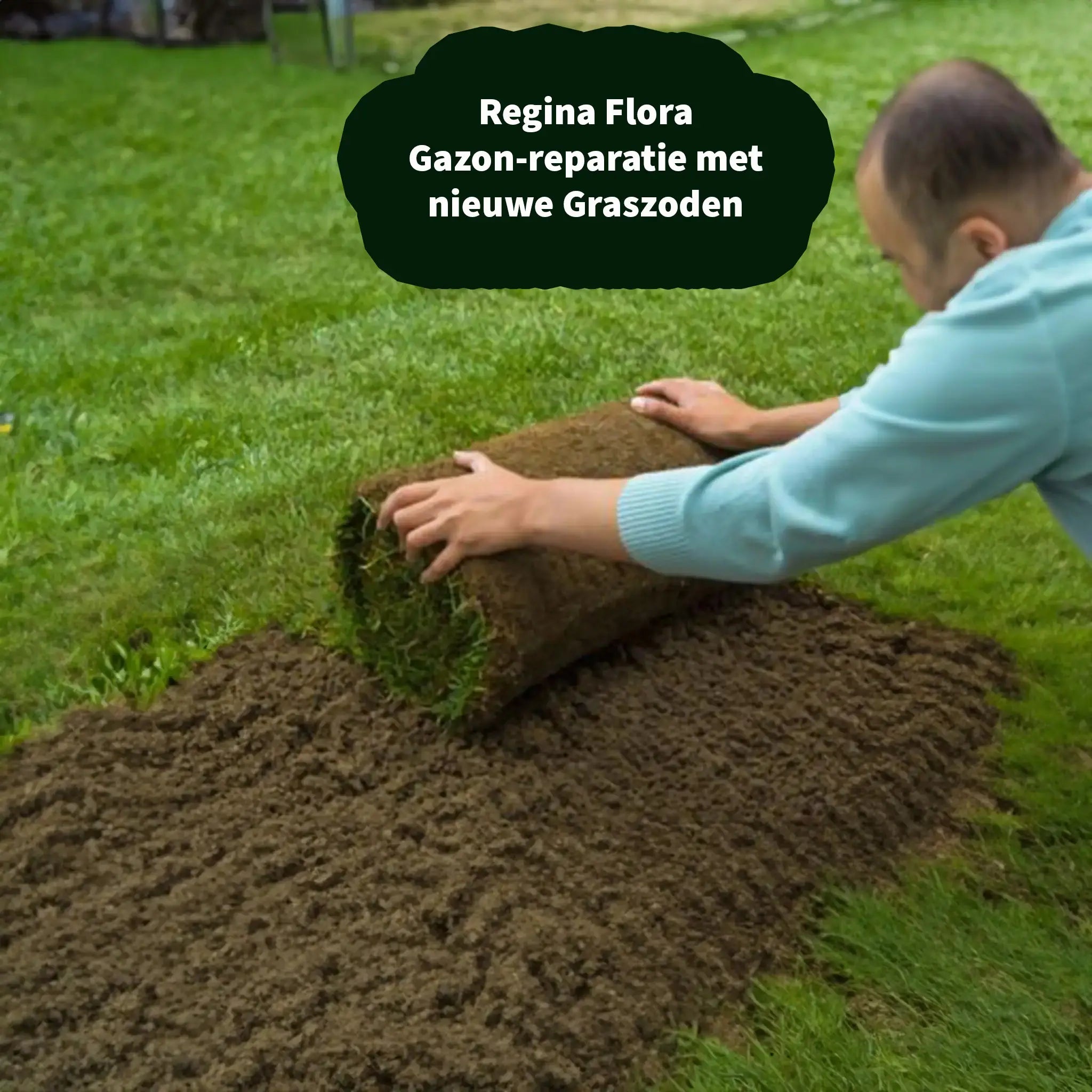 Man die Regina Flora graszoden legt voor gazonreparatie in een groene tuin